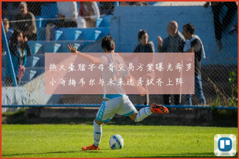 热火豪赌字母哥交易方案曝光希罗小海梅韦尔与未来选秀权齐上阵
