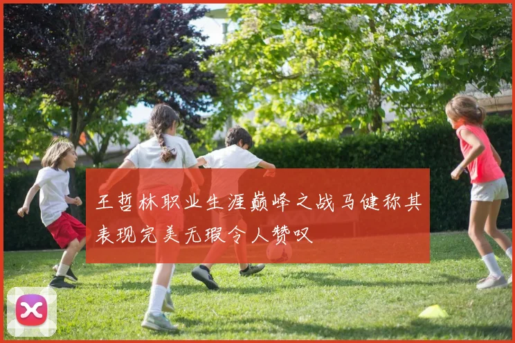 王哲林职业生涯巅峰之战马健称其表现完美无瑕令人赞叹