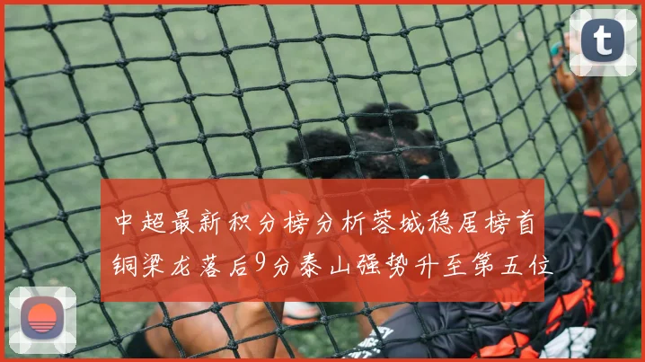 中超最新积分榜分析蓉城稳居榜首铜梁龙落后9分泰山强势升至第五位津门虎积分清零